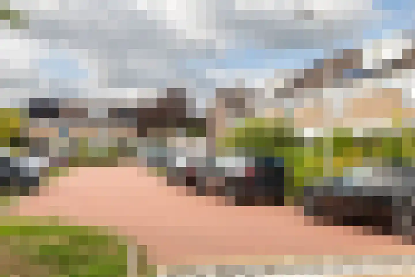 Vogelwikke 6 Bergschenhoek thumbnail 33