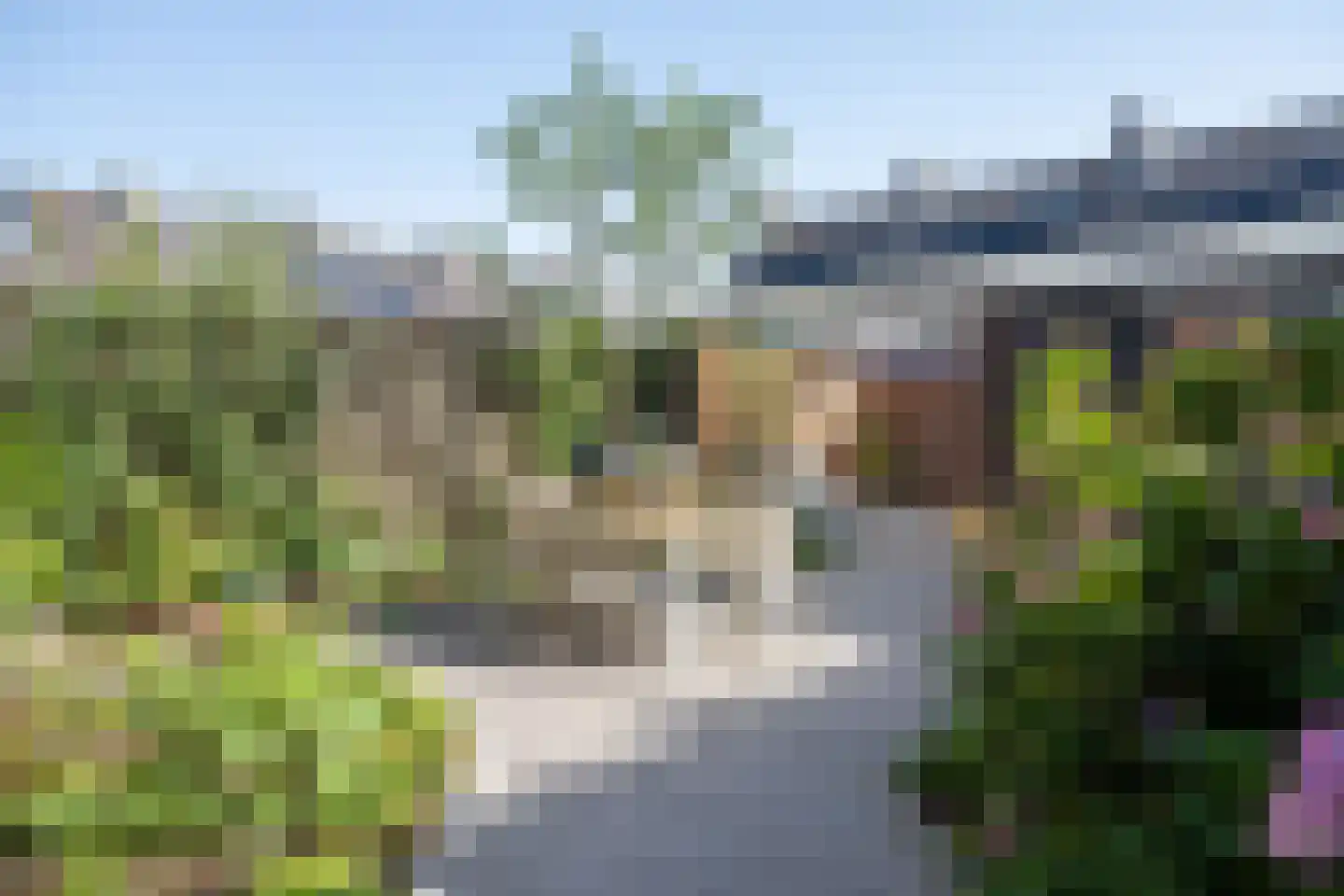 Vogelwikke 6 Bergschenhoek thumbnail 5