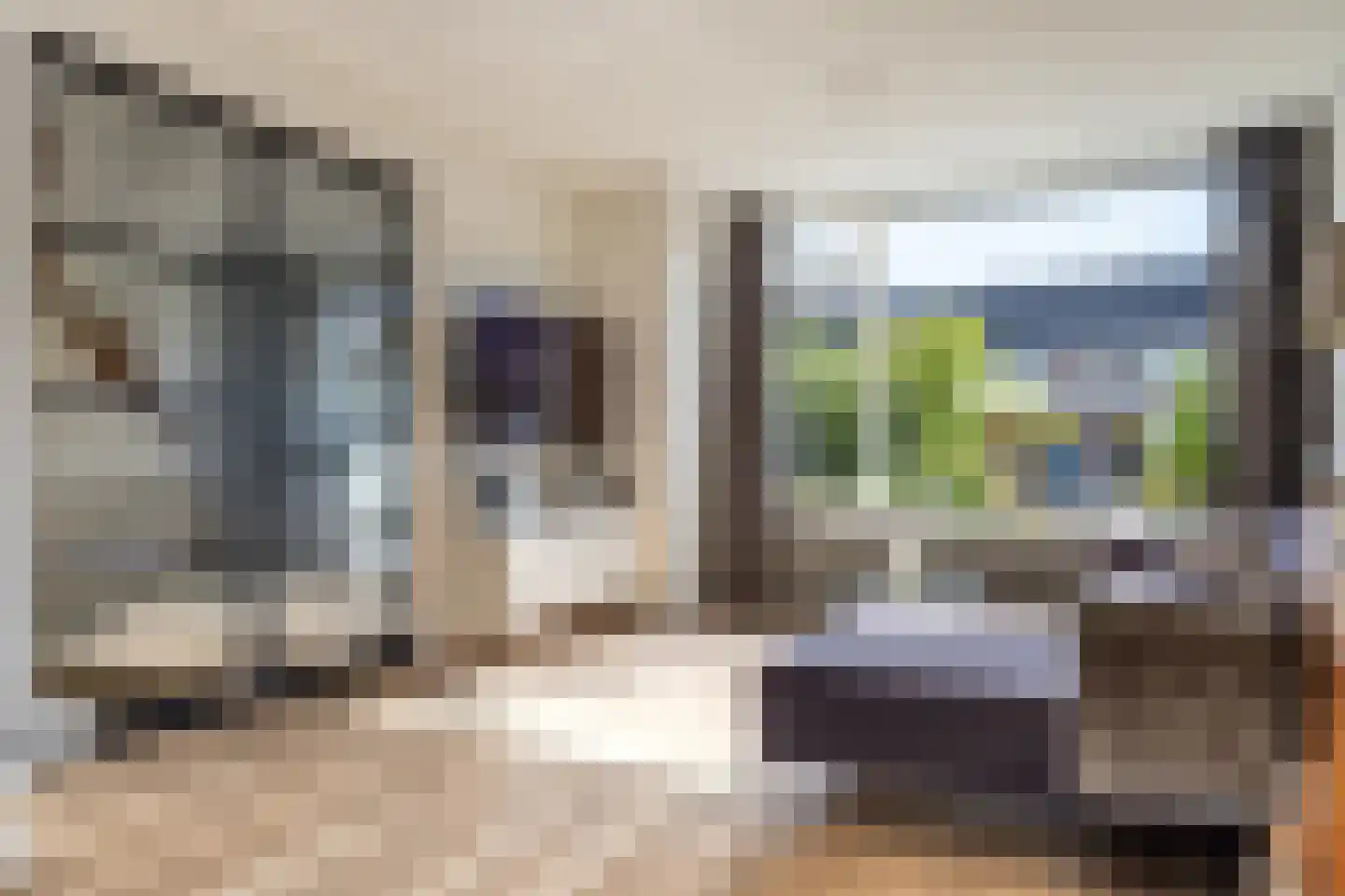 Vogelwikke 6 Bergschenhoek thumbnail 9