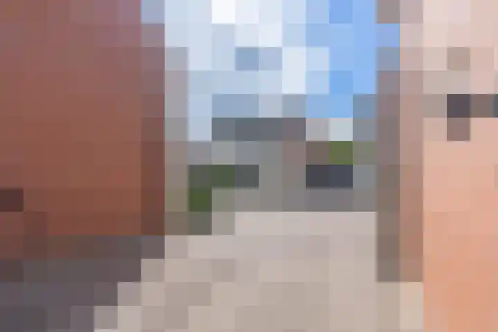 Vogelwikke 6 Venray thumbnail 11
