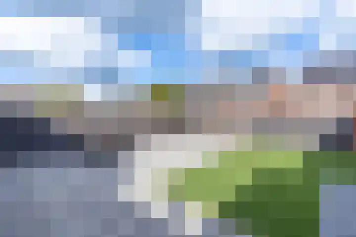 Vogelwikke 6 Venray thumbnail 13