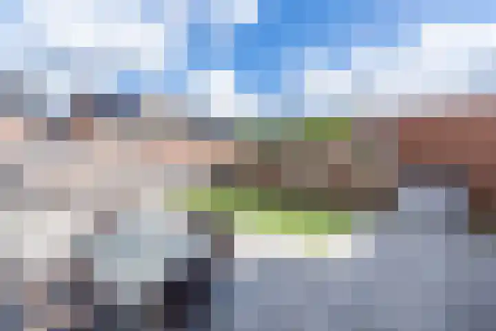 Vogelwikke 6 Venray thumbnail 14