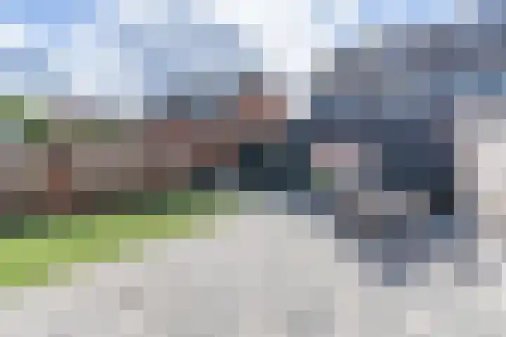 Vogelwikke 6 Venray thumbnail 16