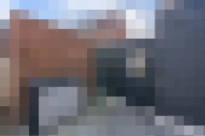 Vogelwikke 6 Venray thumbnail 18