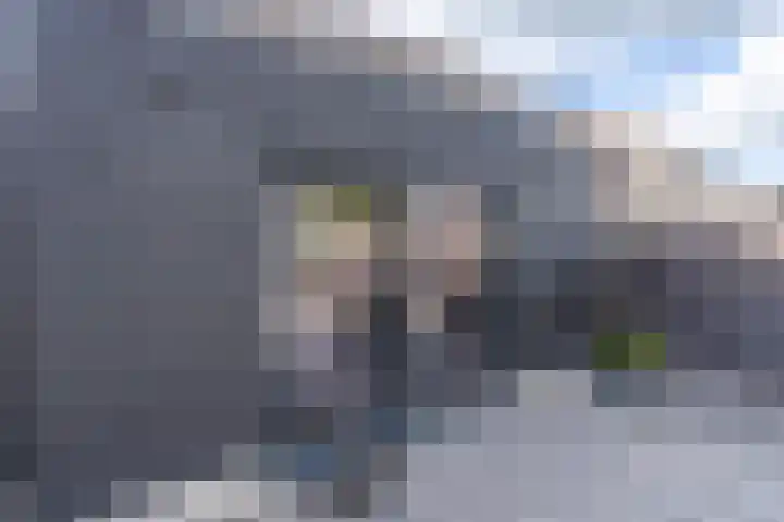 Vogelwikke 6 Venray thumbnail 19