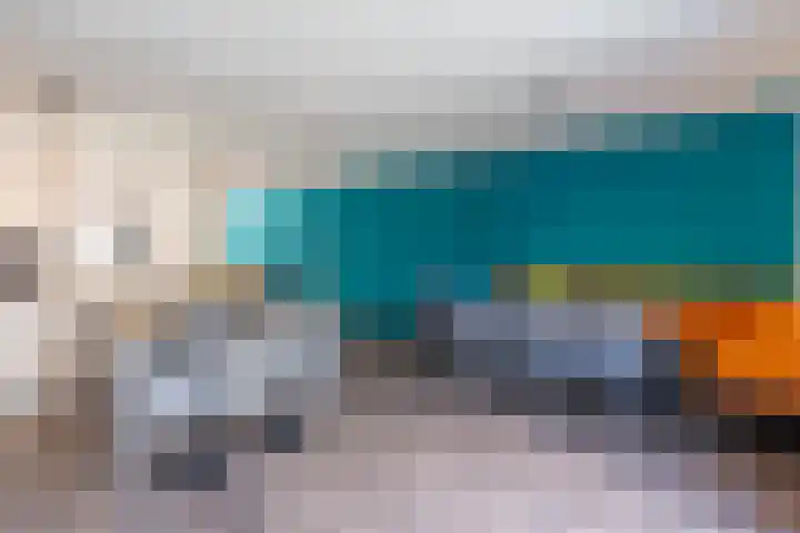 Vogelwikke 6 Venray thumbnail 22