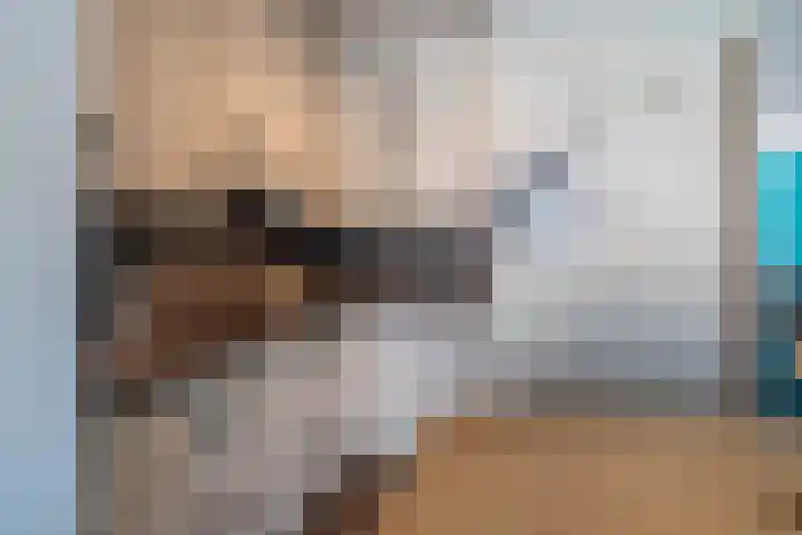 Vogelwikke 6 Venray thumbnail 30