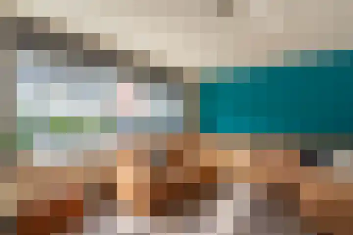 Vogelwikke 6 Venray thumbnail 33