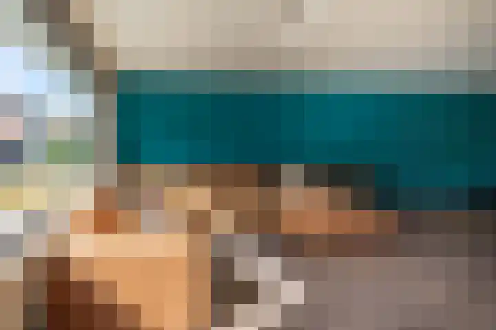 Vogelwikke 6 Venray thumbnail 34