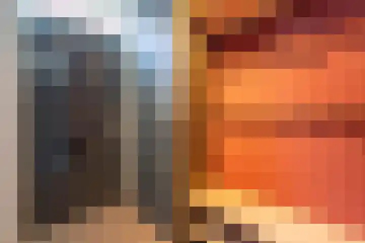 Vogelwikke 6 Venray thumbnail 36