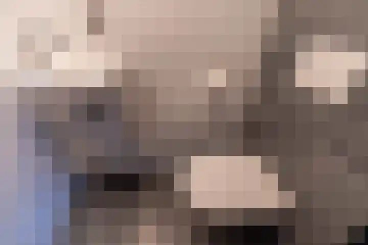 Vogelwikke 6 Venray thumbnail 39
