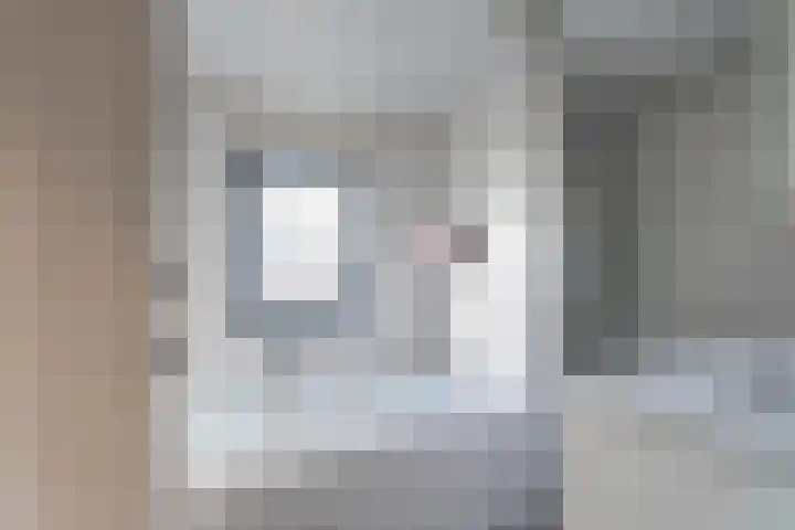 Vogelwikke 6 Venray thumbnail 42
