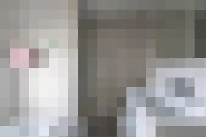 Vogelwikke 6 Venray thumbnail 43