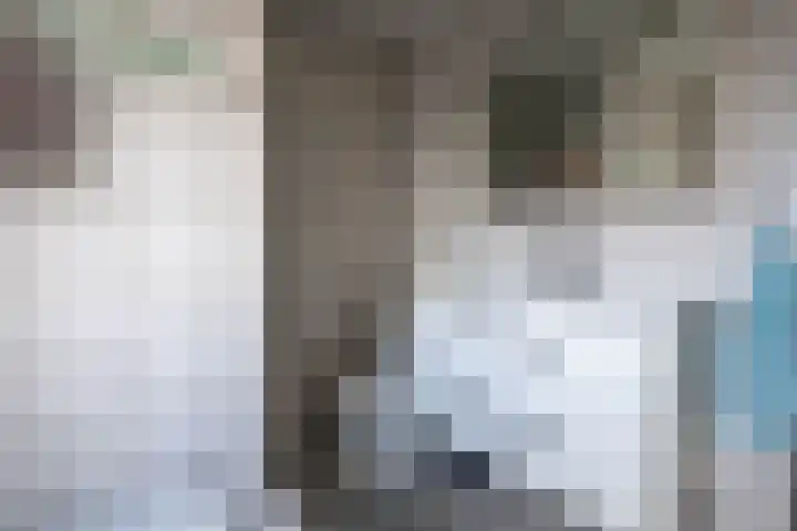 Vogelwikke 6 Venray thumbnail 45