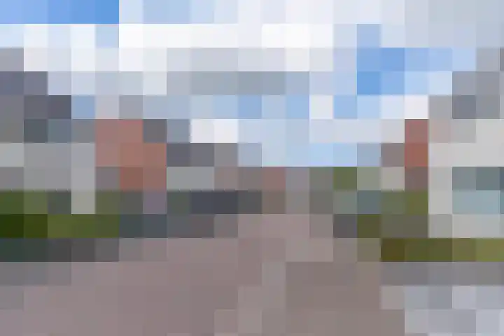 Vogelwikke 6 Venray thumbnail 6