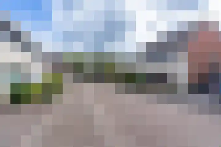 Vogelwikke 6 Venray thumbnail 7