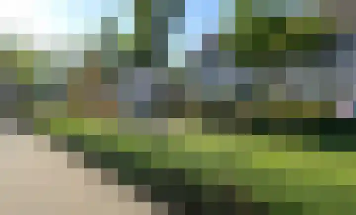 Vogelwikke 6 Venray thumbnail 8