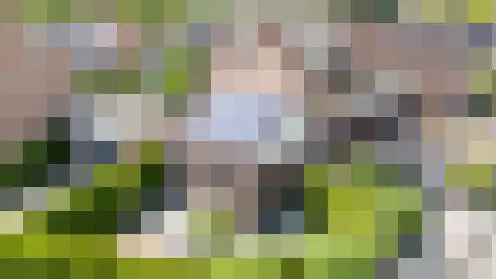 Vogelwikke 7 Roden thumbnail 10