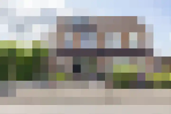 Vogelwikke 7 Roden thumbnail 11