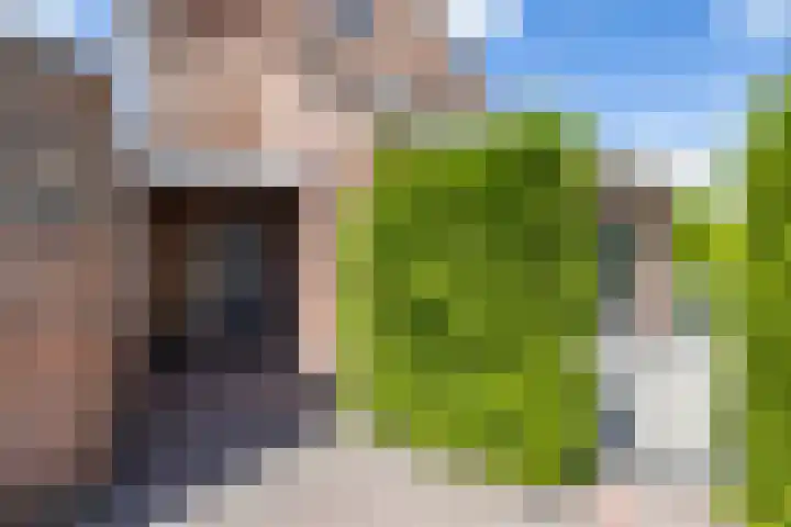 Vogelwikke 7 Roden thumbnail 14