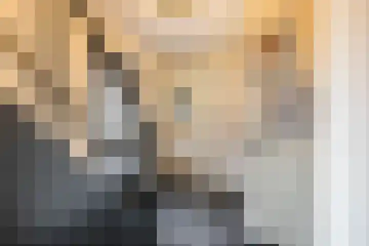 Vogelwikke 7 Roden thumbnail 15