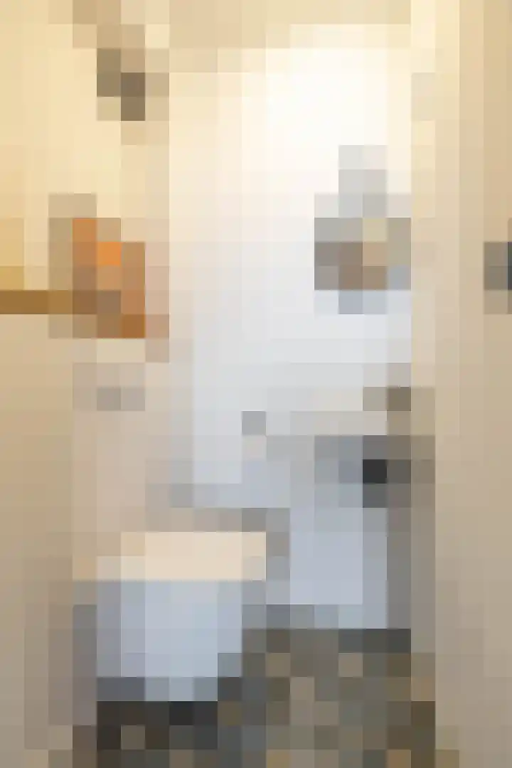 Vogelwikke 7 Roden thumbnail 17