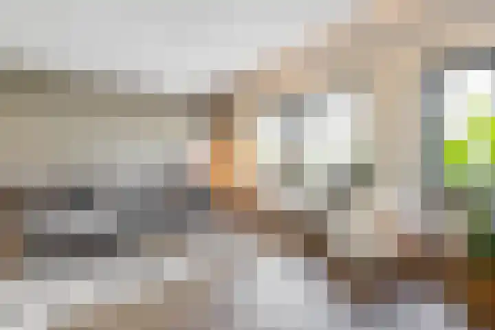 Vogelwikke 7 Roden thumbnail 19
