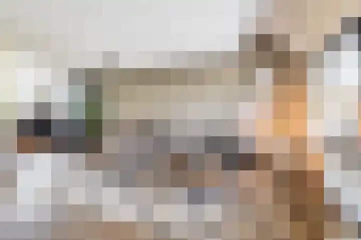 Vogelwikke 7 Roden thumbnail 20