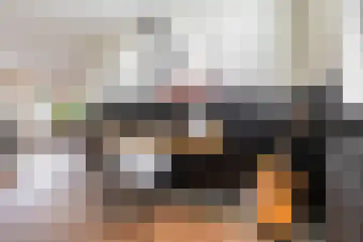 Vogelwikke 7 Roden thumbnail 23