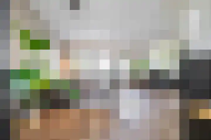 Vogelwikke 7 Roden thumbnail 24