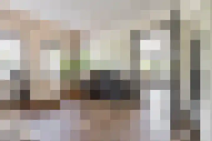 Vogelwikke 7 Roden thumbnail 26
