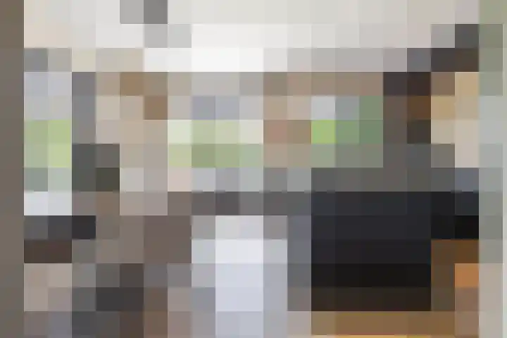 Vogelwikke 7 Roden thumbnail 27