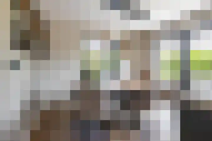 Vogelwikke 7 Roden thumbnail 35
