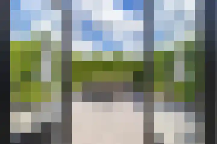 Vogelwikke 7 Roden thumbnail 37