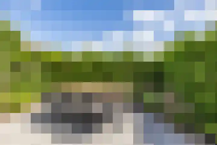 Vogelwikke 7 Roden thumbnail 38