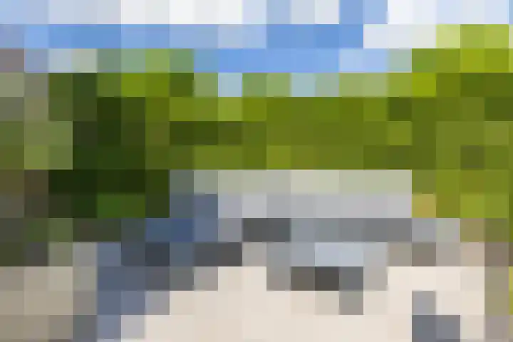 Vogelwikke 7 Roden thumbnail 40