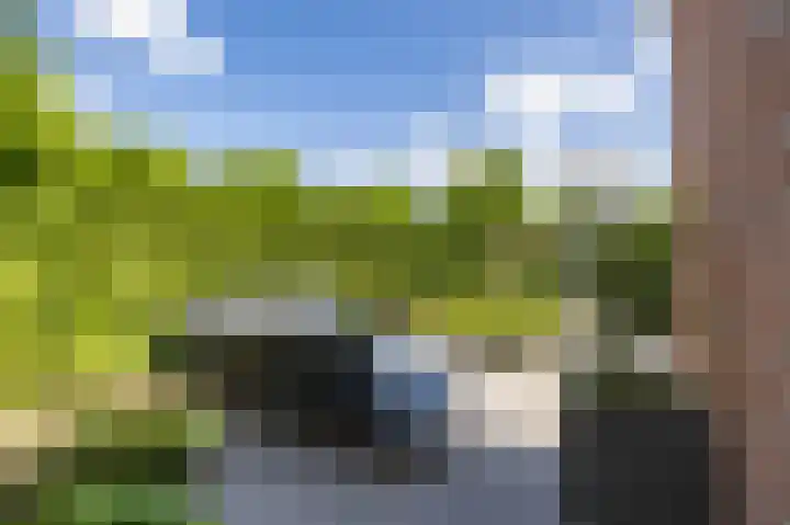 Vogelwikke 7 Roden thumbnail 41