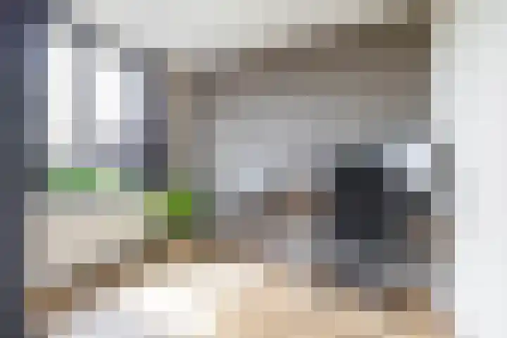 Vogelwikke 7 Roden thumbnail 46