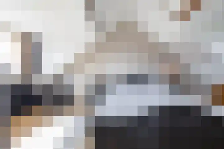 Vogelwikke 7 Roden thumbnail 51