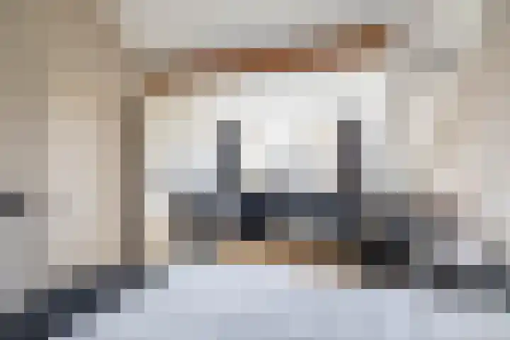 Vogelwikke 7 Roden thumbnail 53