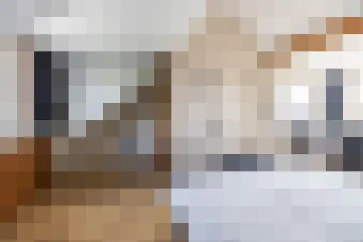 Vogelwikke 7 Roden thumbnail 54