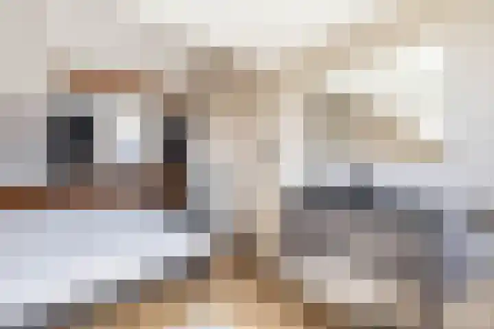 Vogelwikke 7 Roden thumbnail 55