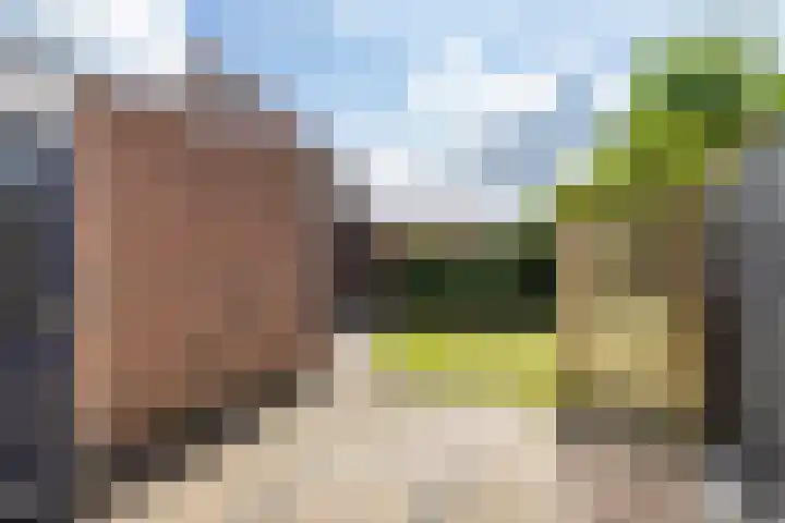 Vogelwikke 7 Roden thumbnail 57