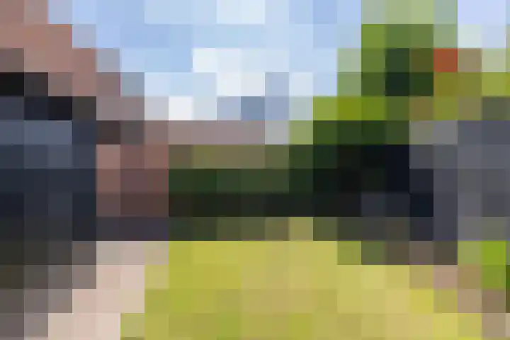 Vogelwikke 7 Roden thumbnail 58