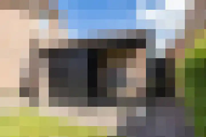Vogelwikke 7 Roden thumbnail 59