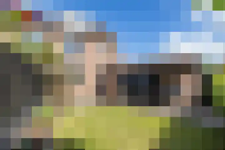 Vogelwikke 7 Roden thumbnail 60