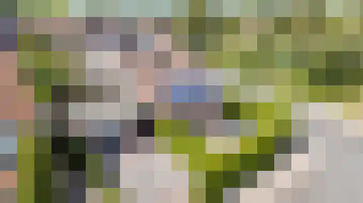Vogelwikke 7 Roden thumbnail 64