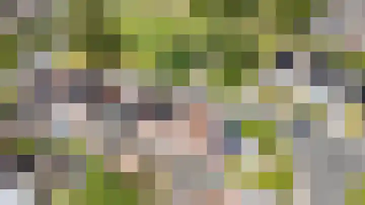 Vogelwikke 7 Roden thumbnail 66