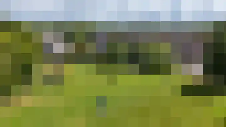 Vogelwikke 7 Roden thumbnail 68