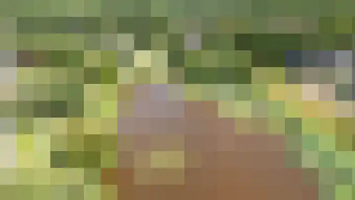 Vogelwikke 7 Roden thumbnail 69